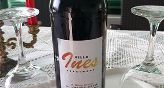 Vila INES