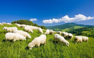 Slovensko_Malá Fatra.jpg