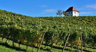 Hotel Primus - Podzimní Ptuj a poznávání
