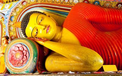 sae_srilanka (2).jpg